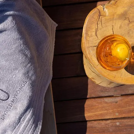 别墅 Untold Mykonos *